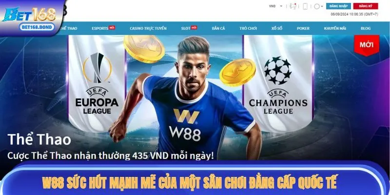 W88